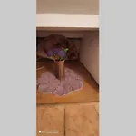Apartman Le Petit *